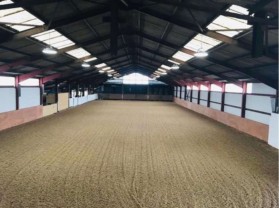 Rascal’s Equestrian