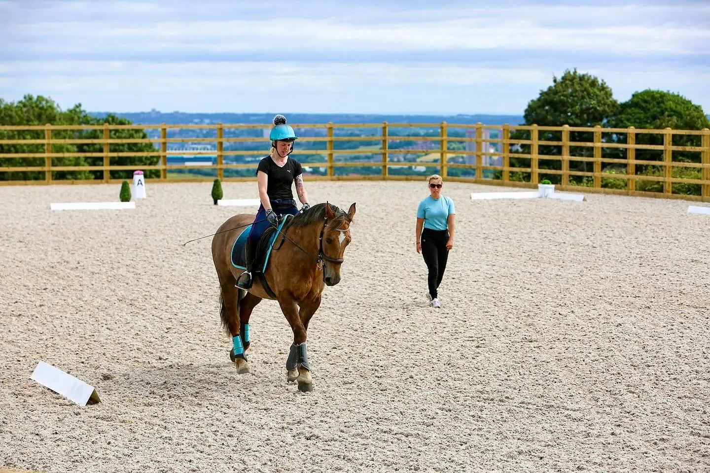 Pro-fibres, stabilising fibres, horse arena