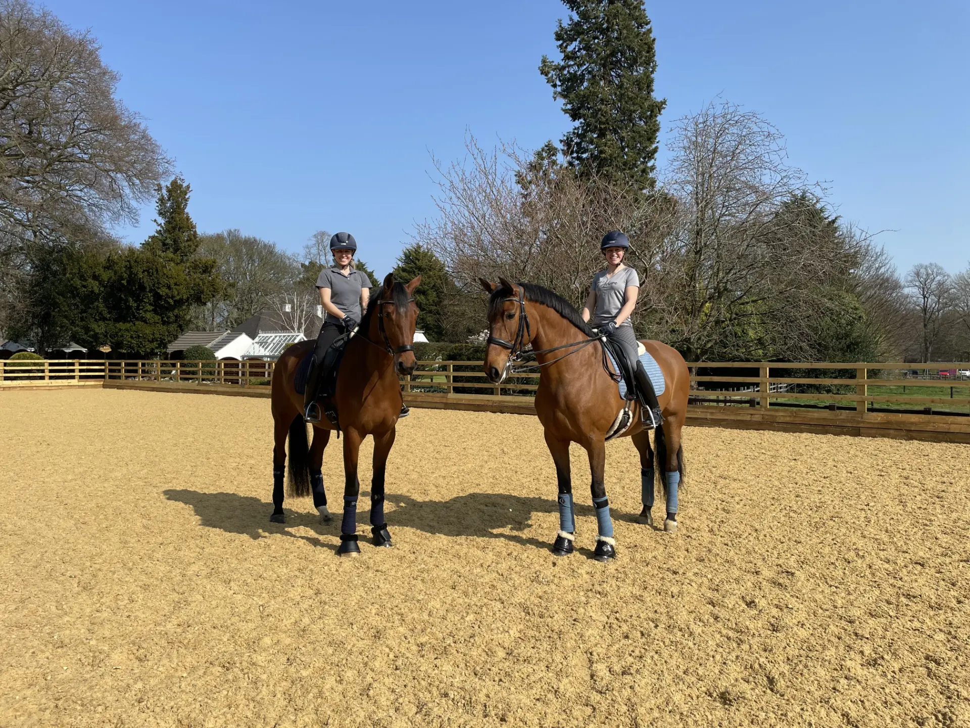 Pro-fibres, stabilising fibres, horse arena