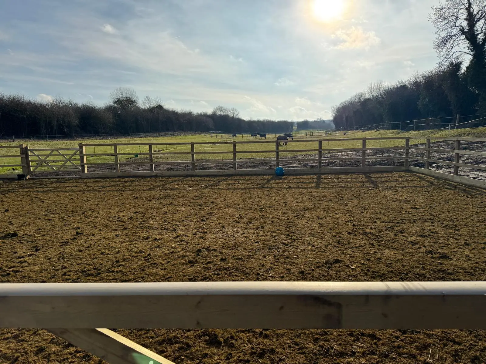 ea9740a9-cef3-4422-a0ee-a3fbdecf6d8d Pro-fibres, stabilising fibres, horse arena